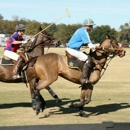 Sarasota Polo Club - Sporting Goods