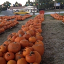 Fellowship Community Church - Methodist Churches