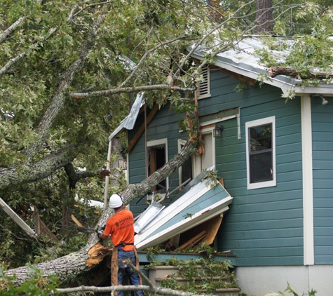 Above All Tree Service Inc