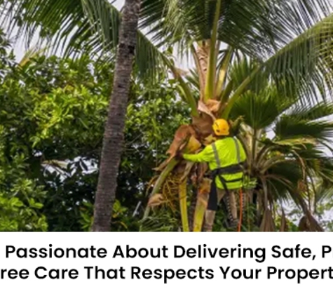 Safeguard Tree Services - Pakenham, VIC. We’re Passionate About Delivering Safe, Precise Tree Care That Respects Your Property