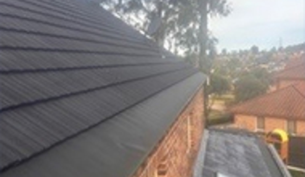 RSA Gutter Mesh Pty Ltd - Gregory Hills, NSW