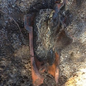 Gallery Image Number 6