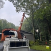 Ac-Pro Tree Service gallery