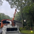 Ac-Pro Tree Service