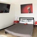 D Pet Hotels - Pet Boarding & Kennels