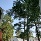 Phelps Tree Service Inc