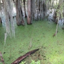 Alligator Lake Recreation Area - Parks