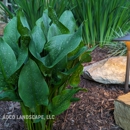 Adco Landscape, LLC - Landscape Contractors