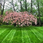 TB Lawns and Yard Maintenance Inc.