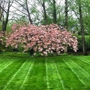 TB Lawns and Yard Maintenance Inc.