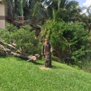 Neapolitan Tree Service - Tree Service