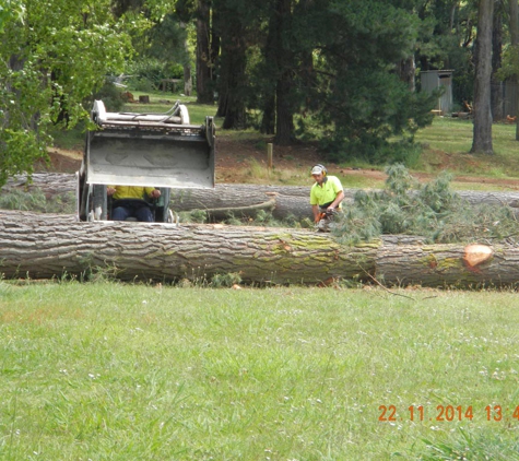Woodstock Tree and Stump Removal - Coldstream, VIC