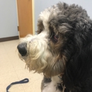Northbrook Animal Clinic - Veterinary Clinics & Hospitals