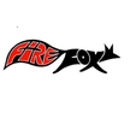 FireFox Energy Concepts - Stoneware