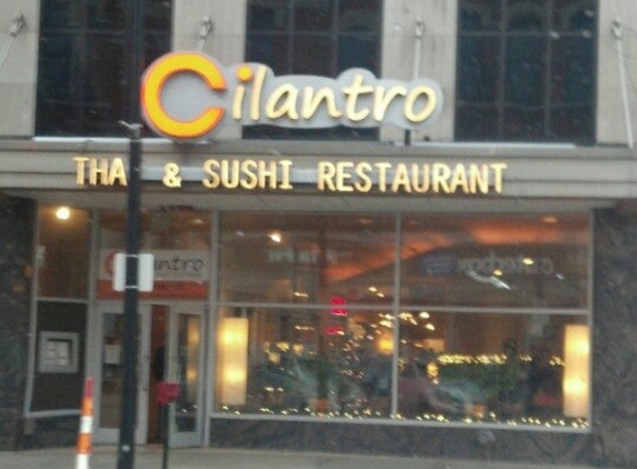 Cilantro Thai & Sushi Restaurant - Akron, OH