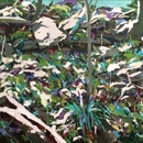 Ann Tower Gallery LTD - Art Galleries, Dealers & Consultants