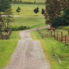 Daybreak Stables