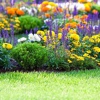 Osorio Landscaping and Tree Services gallery