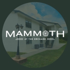 Mammoth at the Orchard Apartments