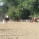 Big Brown Barn - Horse Boarding