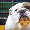 Brumback & Ottem Injury Law gallery