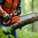 Summit Arbor Services - Tree Service