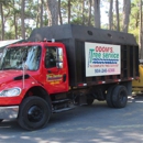 Odons Beaches Tree Service - Tree Service