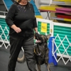 Blue Ribbon Dog Training Academy gallery