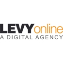 Levy Online - Internet Consultants