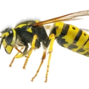 Southland Pest Control - Pest Control Services
