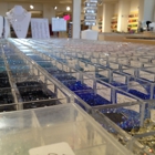 The Bead Shoppe