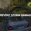 Rapid Tree Care gallery