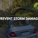 Rapid Tree Care - Tree Service
