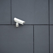 Gallery Image Number 5