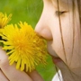 Allergy & Asthma Centers of Cape Cod