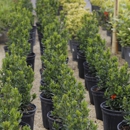 A&D Landscaping Corp - Nurseries-Plants & Trees