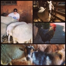 Farm Sanctuary's Animal Acres - Animal Shelters