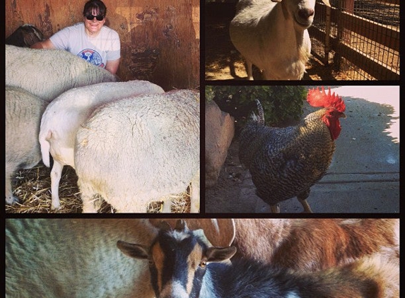 Farm Sanctuary's Animal Acres - Acton, CA