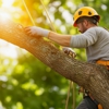 East Coast Tree Experts gallery