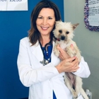 Easyvet Veterinarian San Tan Valley
