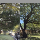 Samuel's Tree Service