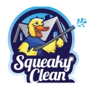 Squeaky Clean - Pressure Washing Equipment & Services