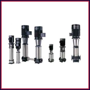 Gallery Image Number 5