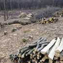 Sanctuary Forestry Mulching - Mulches