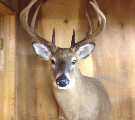 Darrell's Taxidermy - New Baltimore, MI