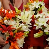 Love Blooms Wedding & Event Design gallery