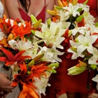Love Blooms Wedding & Event Design