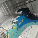 Velocity Climbing - Gymnasiums