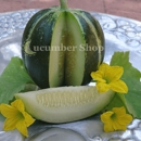 Cucumber Shop - Seeds & Bulbs