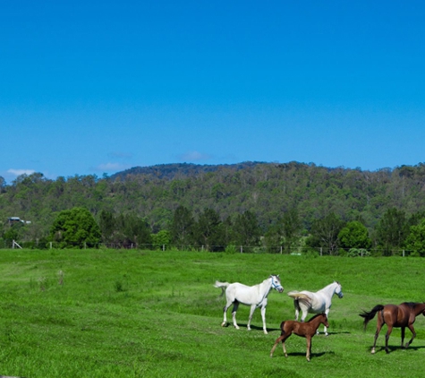 Clarence Valley Legal - Grafton, NSW